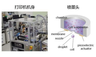 理光集團(tuán)攜高科技產(chǎn)品進(jìn)軍醫(yī)藥市場(chǎng)，以創(chuàng)新技術(shù)驅(qū)動(dòng)醫(yī)療行業(yè)變革